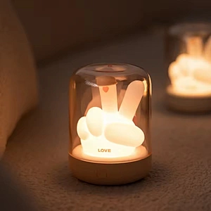 Creative Gift ABS Home Room Unique Decoration Table Lighting Lamp USB Led Battery Rechargeable Children Night Light for Kids