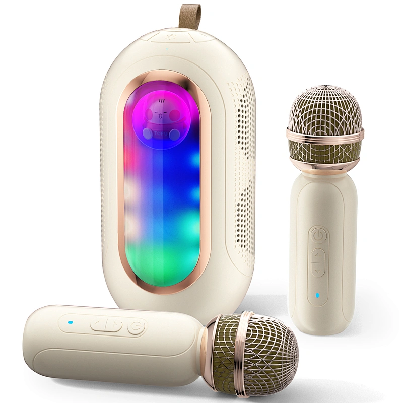 ICARER FAMILY High Quality Portable Wireless Speaker Rechargeable Waterproof Stereo Karaoke Speaker
