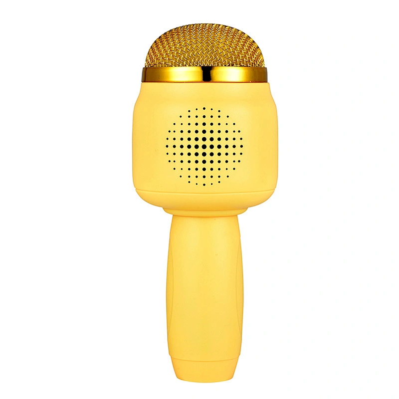 ICARER FAMILY Portable Mini Microphone Speaker Set Best Gift for Kids Sound Speaker with Durable Design
