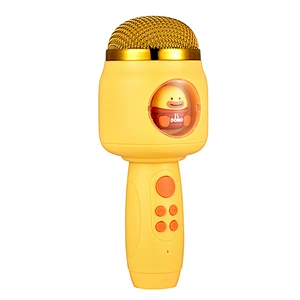 ICARER FAMILY Cute Sound Equipment Amplifiers Portable Mini Karaoke Speaker