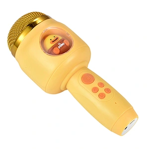 ICARER FAMILY Cute Sound Equipment Amplifiers Portable Mini Karaoke Speaker