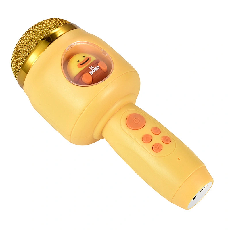 ICARER FAMILY Cute Sound Equipment Amplifiers Portable Mini Karaoke Speaker