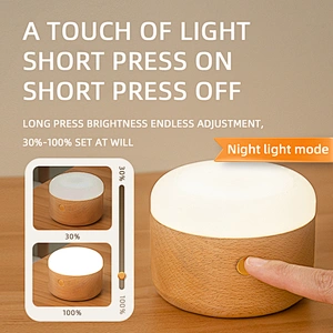 Multifunctional Oil Aroma Diffuser Rechargeable Bed Room Decoration Smart Wood Light Led Custom Cute Bedside Lamp for Home