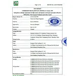 ERP Report