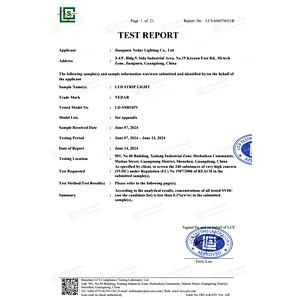 REACH TEST REPORT - LED Strip Light