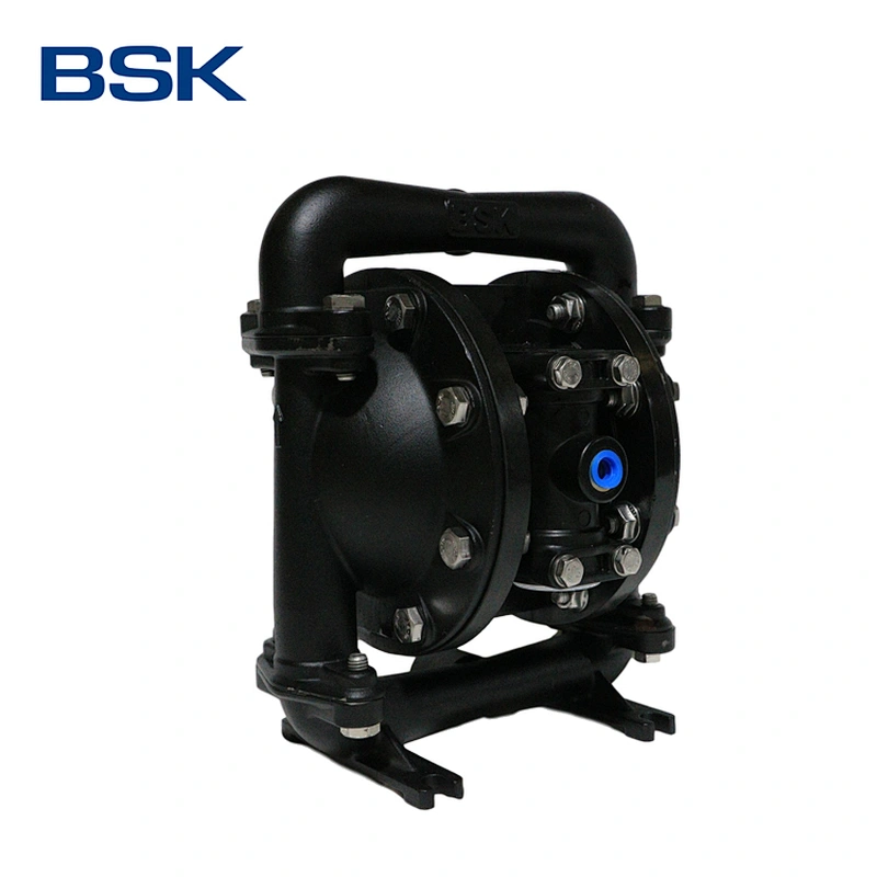 AODD pump from America mini cast steel pump submarine pump in water