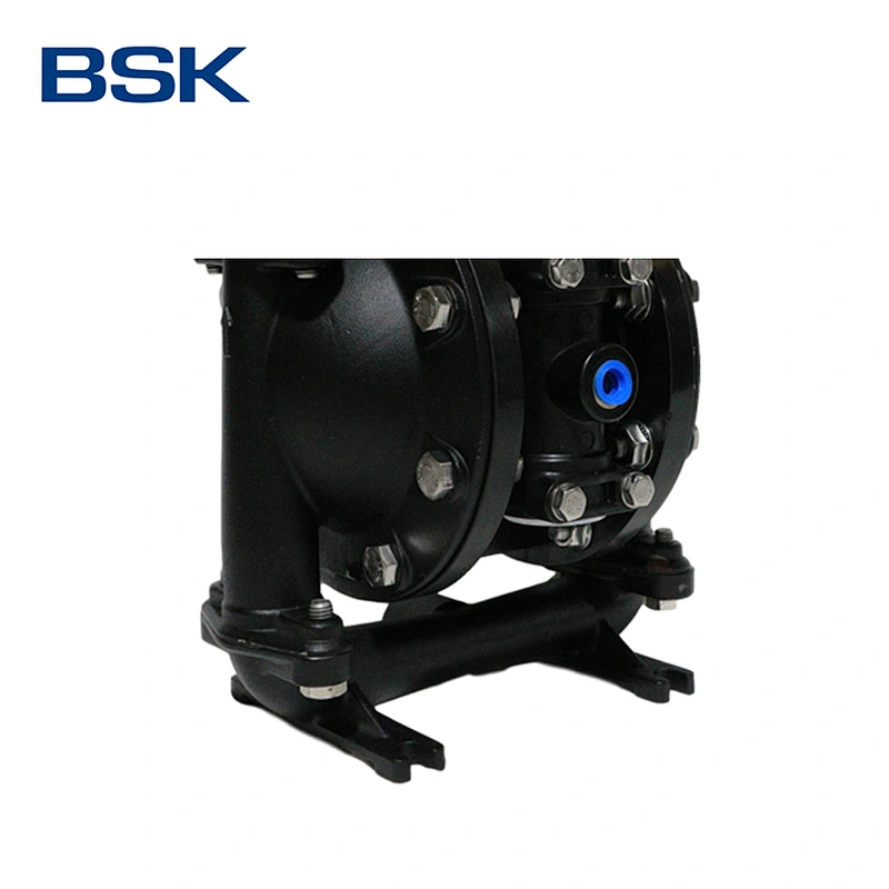 AODD pump from America mini cast steel pump submarine pump in water