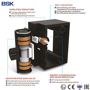 BSK 2