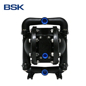 AODD pump from America mini cast steel pump submarine pump in water