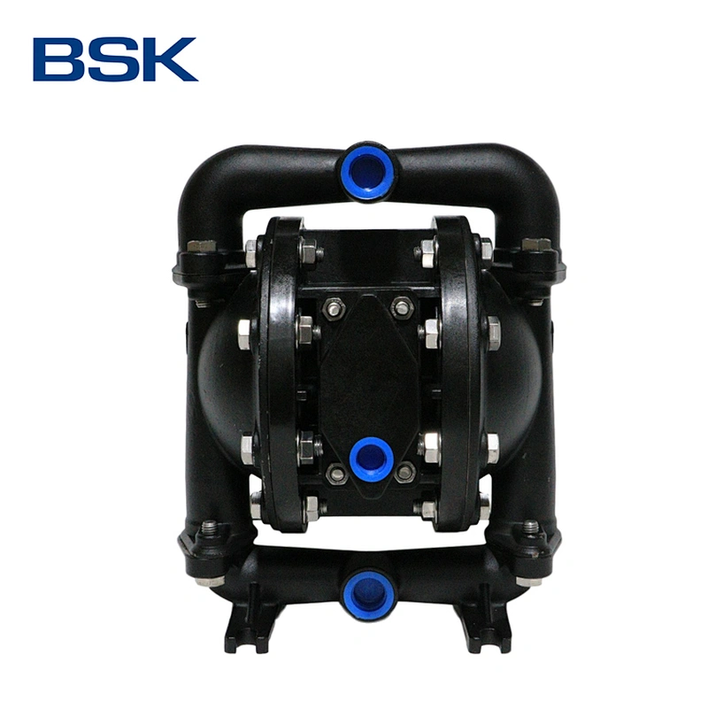 AODD pump from America mini cast steel pump submarine pump in water