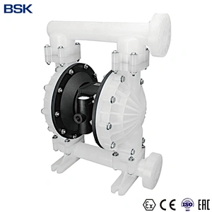 bsk 1