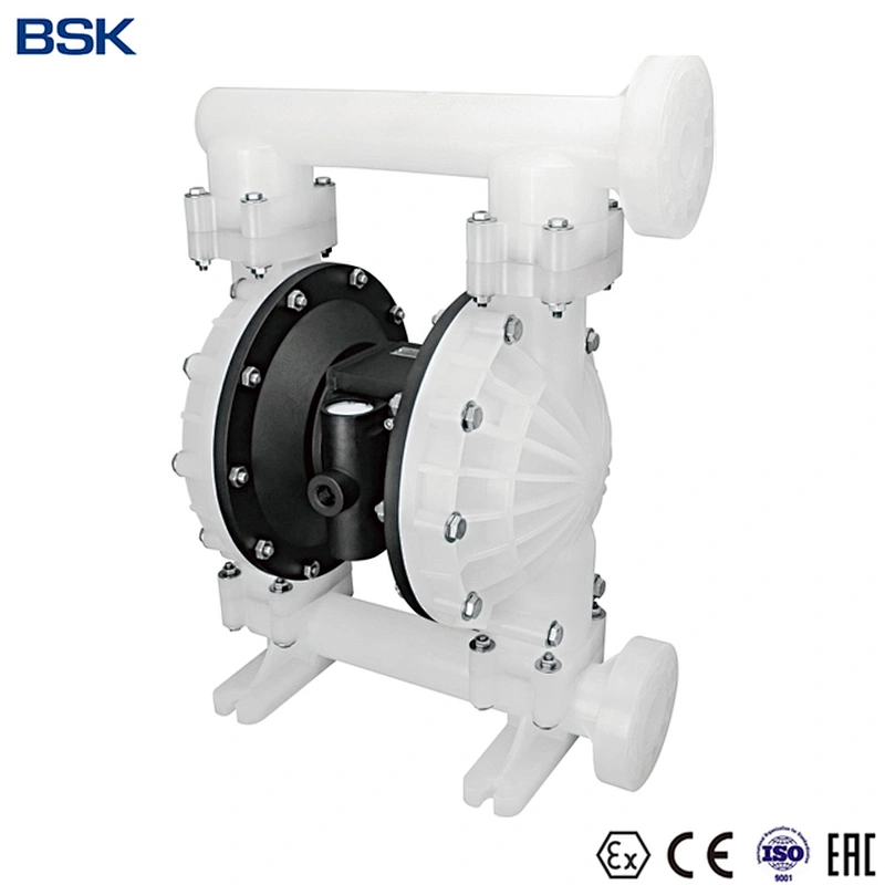 bsk 1