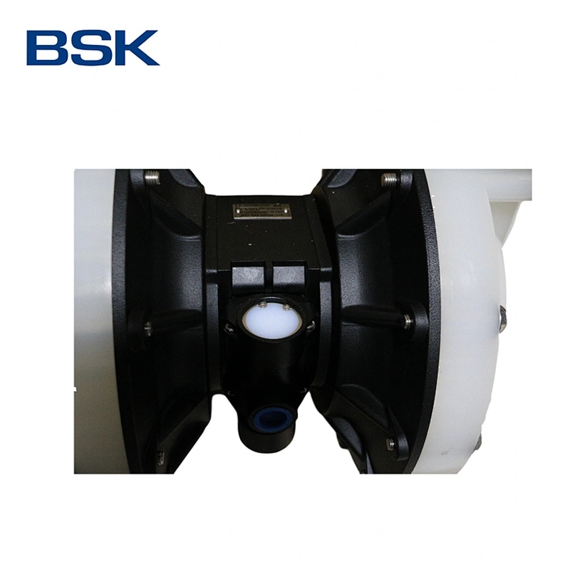 BSK 2 inch PP pump chemical liquid available santoprene diaphragm AODD pump air pump