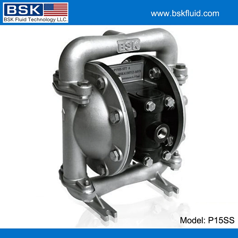 BSK High Quality Stainless Steel Double Diaphragm Paint Pump