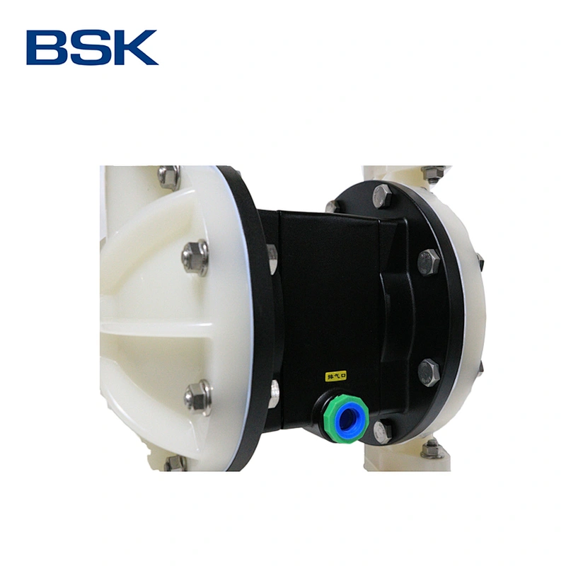 BSK custom 1