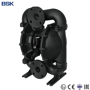 High QualityCast Iron Double Diaphragm Pump