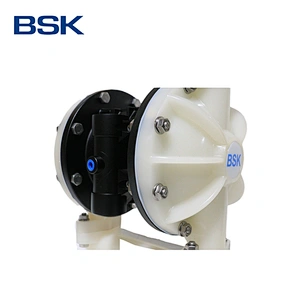 BSK custom 1