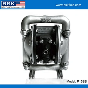 BSK High Quality Stainless Steel Double Diaphragm Paint Pump
