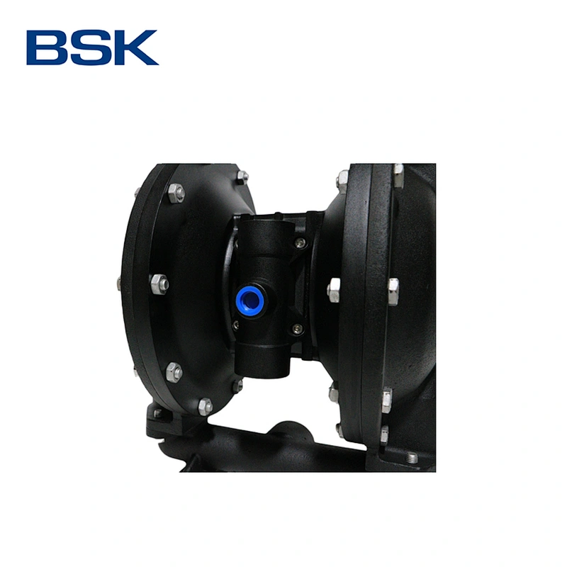 Custom 6mm max partice size sanitary diaphragm liquid pumps reciprocating air driven membrane pump