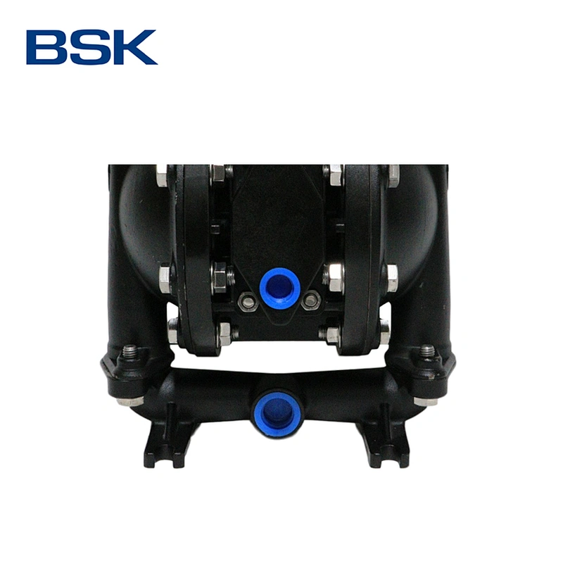 AODD pump from America mini cast steel pump submarine pump in water
