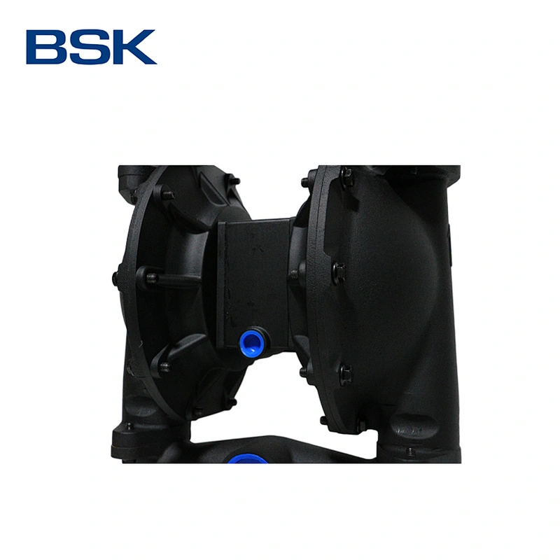 Water treatment solutions long lifespan diaphragm 2 inch cast iron compressed air driven diaphragm pump