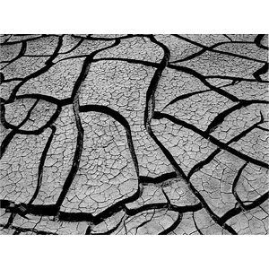ENVIRONMENTAL REMEDIATION