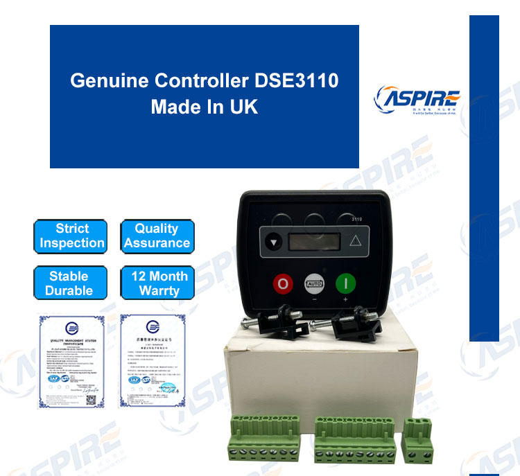 DSE3110
