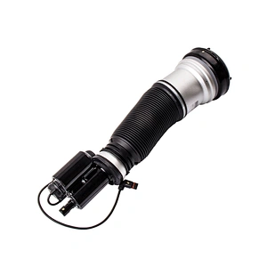 2203202238 High Performance Auto Parts Rear Axle Shock Absorber for Mercedes Benz