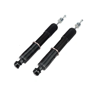 2513201931 Durable Adjustable Rear Axle Shock Absorbers for Mercedes-Benz R320 2006-2007