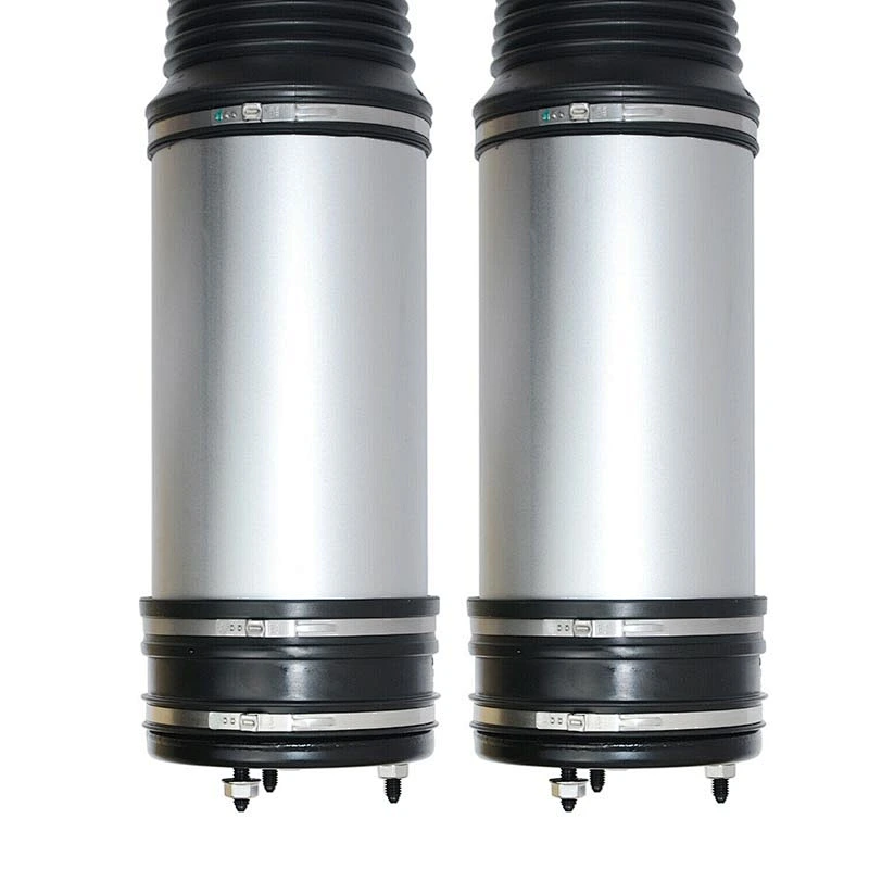2203202338 Air Suspension Strut Shock Absorber For Mercedes Benz W220
