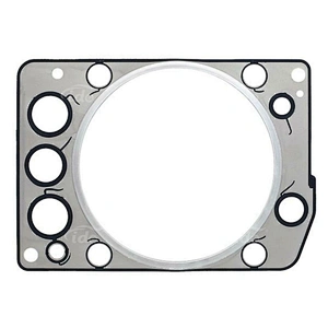 4600160520 Auto Engine Parts Cylinder Head Gasket for Mercedes Benz Axor Touro Citaro Tourismo