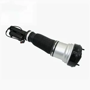 2203202438 Air Suspension Shock Strut 1998-2006 For Mercedes Benz W220 S Class 2WD