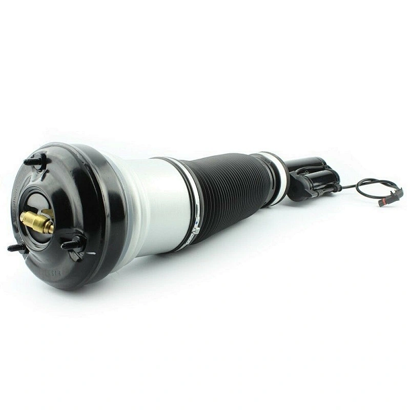 2203202438 Air Suspension Shock Strut 1998-2006 For Mercedes Benz W220 S Class 2WD