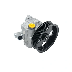 Vane Pump  Power Hydraulic Steering Pump  for Mercedes-Benz C-class 1996-2001  0044669301 0024661201ZF