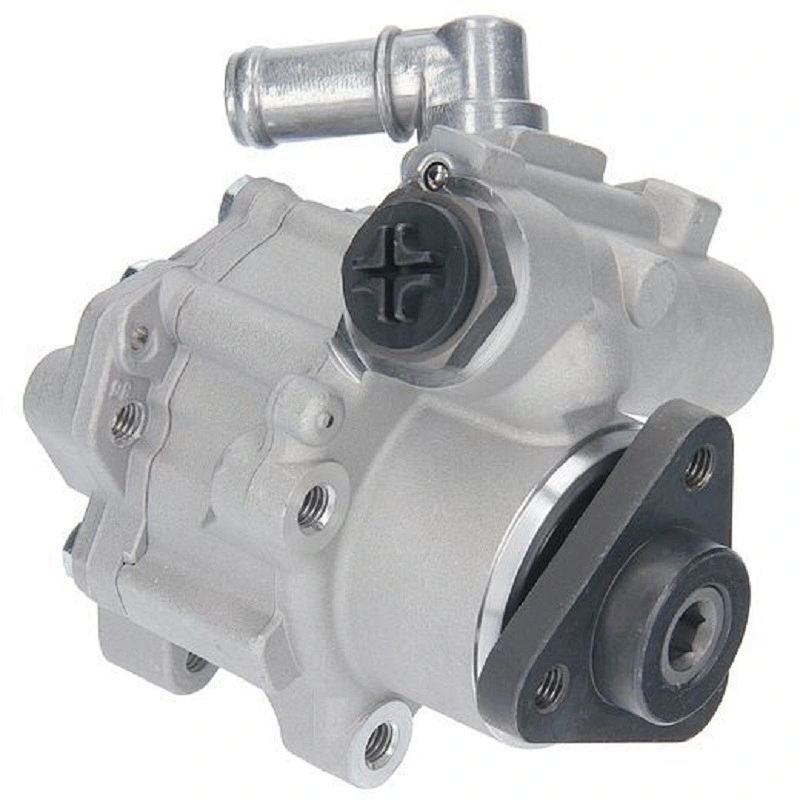 Hydraulic  Power Steering Pump Vane Pump for BMW 5 1995-2003 32411092741 32411092742