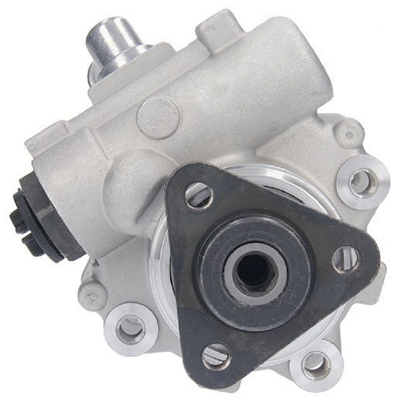 Hydraulic  Power Steering Pump Vane Pump for BMW 5 1995-2003 32411092741 32411092742