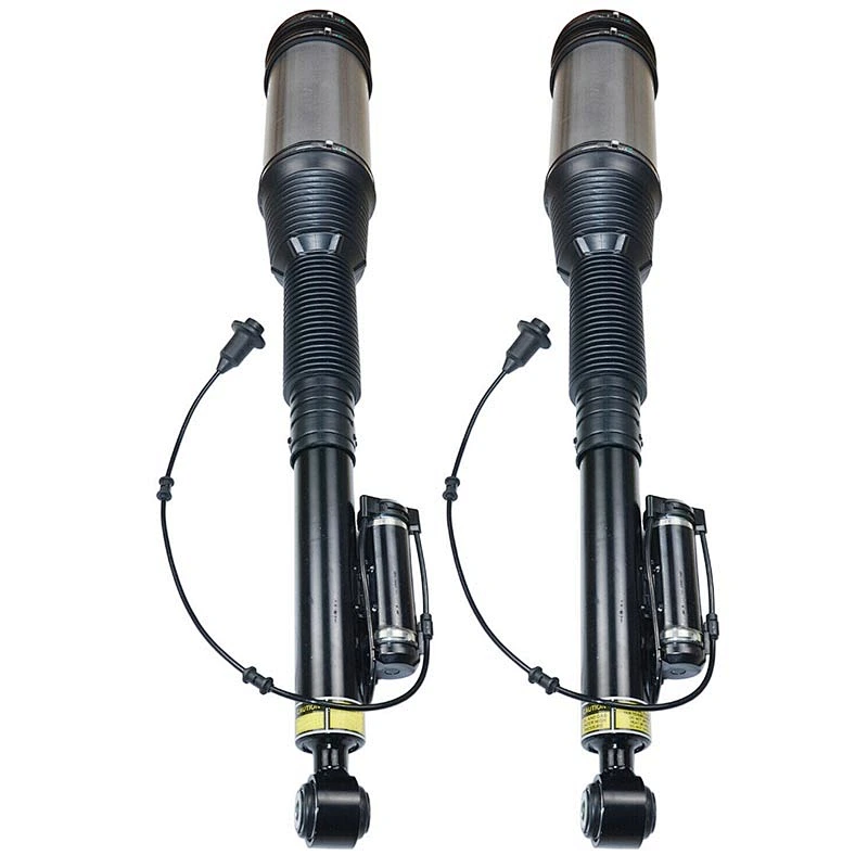 2203202338 Air Suspension Strut Shock Absorber For Mercedes Benz W220