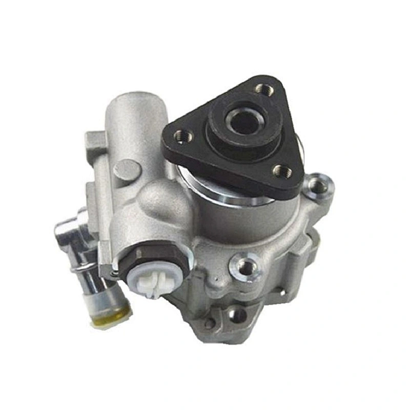 Hydraulic  Power Steering Pump Vane Pump for BMW 5 1995-2003 32411092741 32411092742