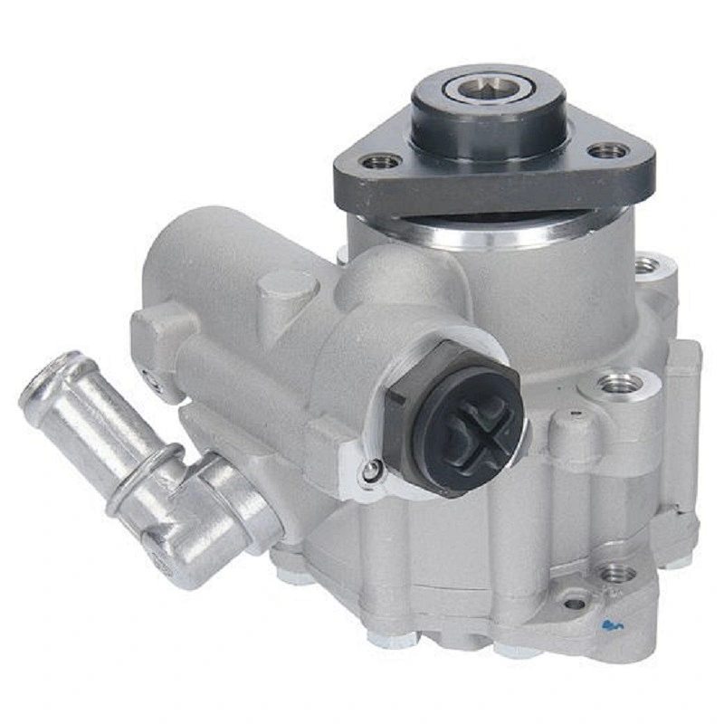 Hydraulic  Power Steering Pump Vane Pump for BMW 5 1995-2003 32411092741 32411092742