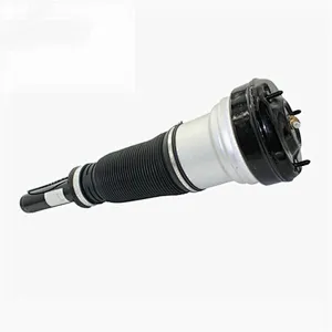 2203202438 Air Suspension Shock Strut 1998-2006 For Mercedes Benz W220 S Class 2WD