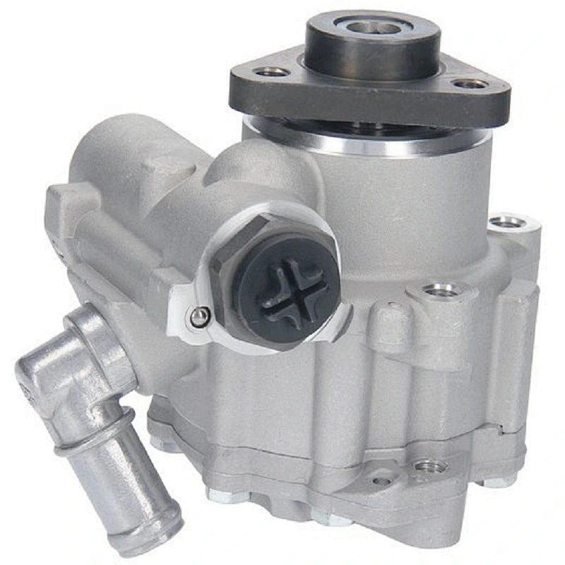 Hydraulic  Power Steering Pump Vane Pump for BMW 5 1995-2003 32411092741 32411092742