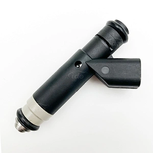 53030842 Auto Parts Fuel Injector for Jeep Grand Cherokee for Dodge Dakota