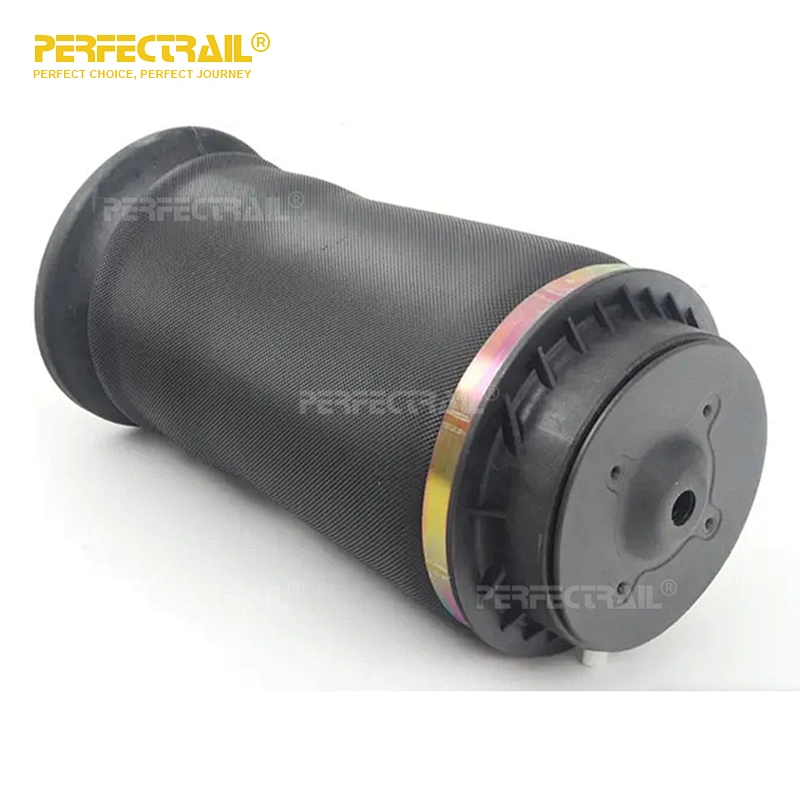 PERFECTRAIL 1643201025 1643200725 1663200725 Wholesale Auto Parts Rear Air Suspension Spring for Mercedes Benz GL-Class X164
