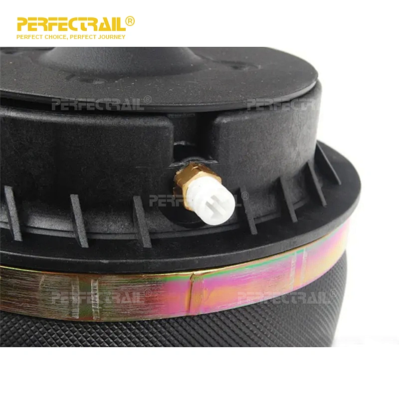 PERFECTRAIL 1643201025 1643200725 1663200725 Wholesale Auto Parts Rear Air Suspension Spring for Mercedes Benz GL-Class X164