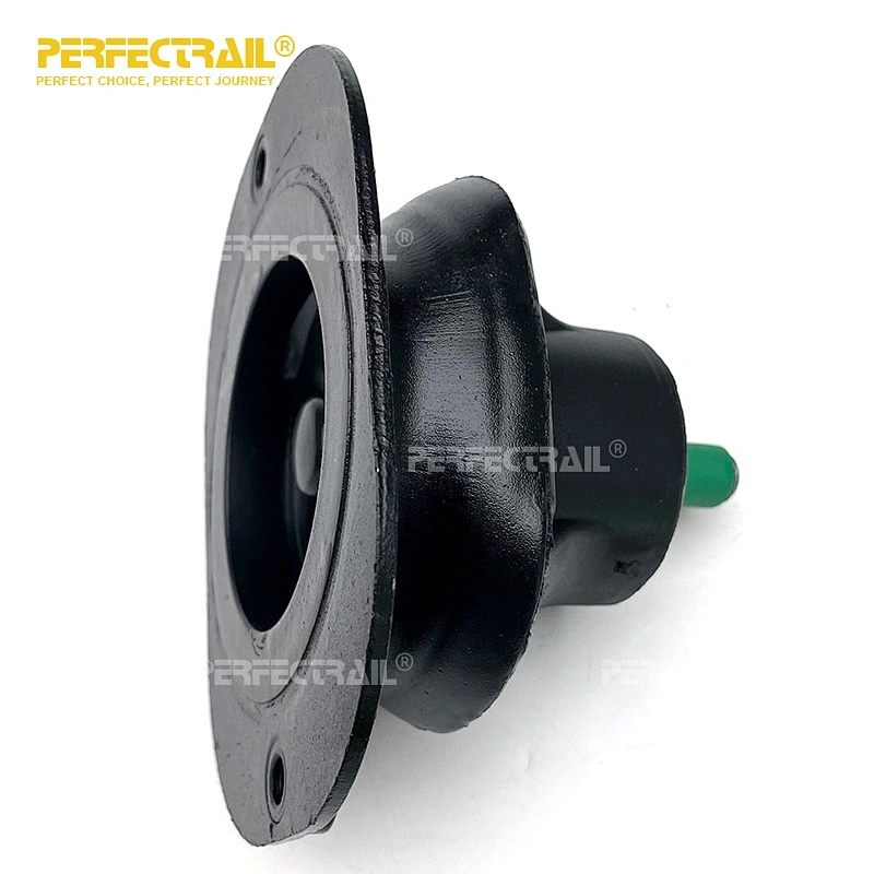 PERFECTRAIL 503646014 Manufacturer Car Auto Spare Parts Engine Mount for Iveco Daily