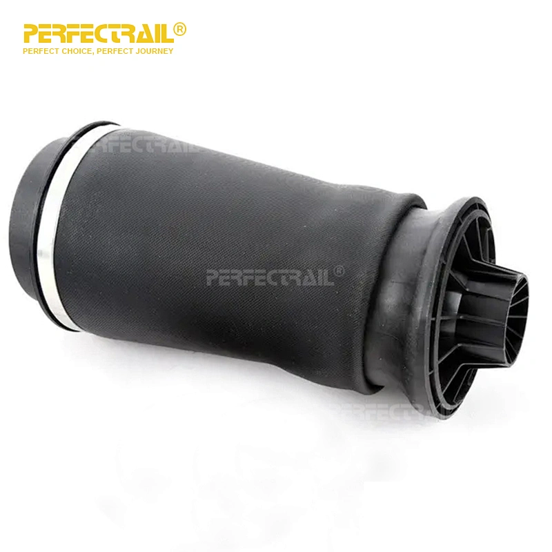 PERFECTRAIL 1643201025 1643200725 1663200725 Wholesale Auto Parts Rear Air Suspension Spring for Mercedes Benz GL-Class X164