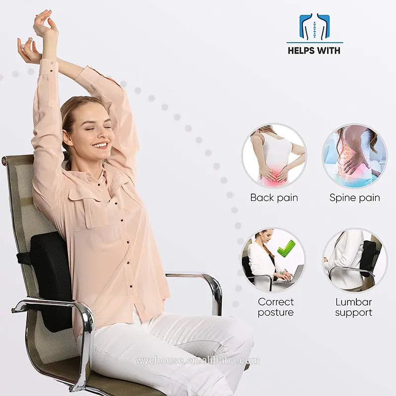 Comfort Back Cushion - Lumbar Support Pillow for Office, Car and Chair