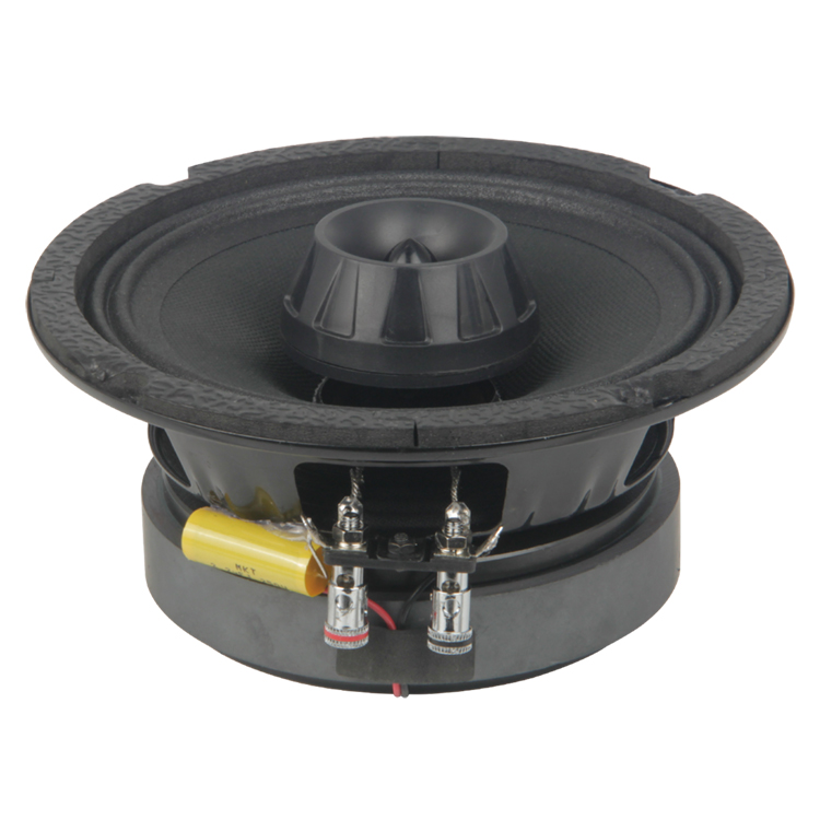 Coaxial Speakers