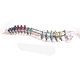 Tech Titanium Material Spinal Screw Spinal Instrument
