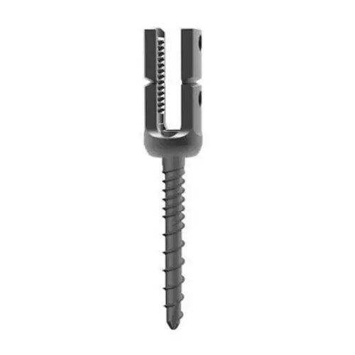 Polyaxial Break-off Pedicle Screw